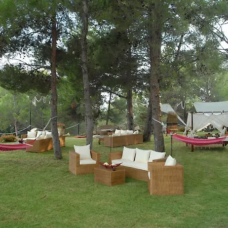 Hotel King's 4*
